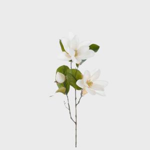 Magnolia Hvit