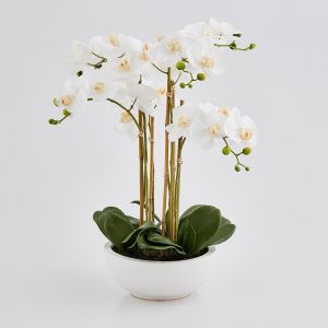 Orkidé m/potte - 64 cm - Hvit
