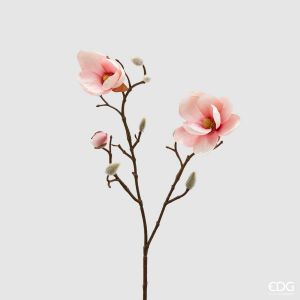 Magnoliagren - 53 cm - Pink