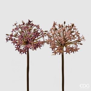 Allium Stilk, H48, assortert - Pink