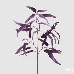 Eucalyptus, H90 - Violet