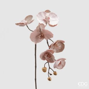 Orkidègren, H79 - Pale Pink