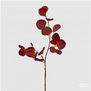 Eukalyptus Glory - Dark Red