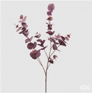Eukalyptus, H100 - Violet