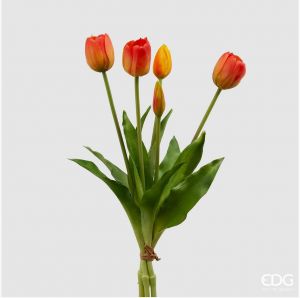 Tulipaner, H40 - Oransje